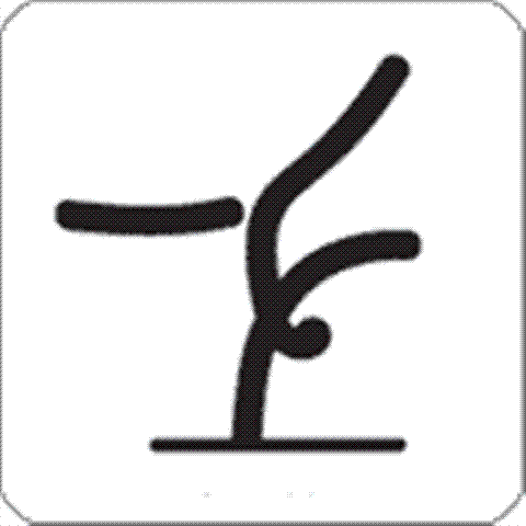 Ginnastica Artistica